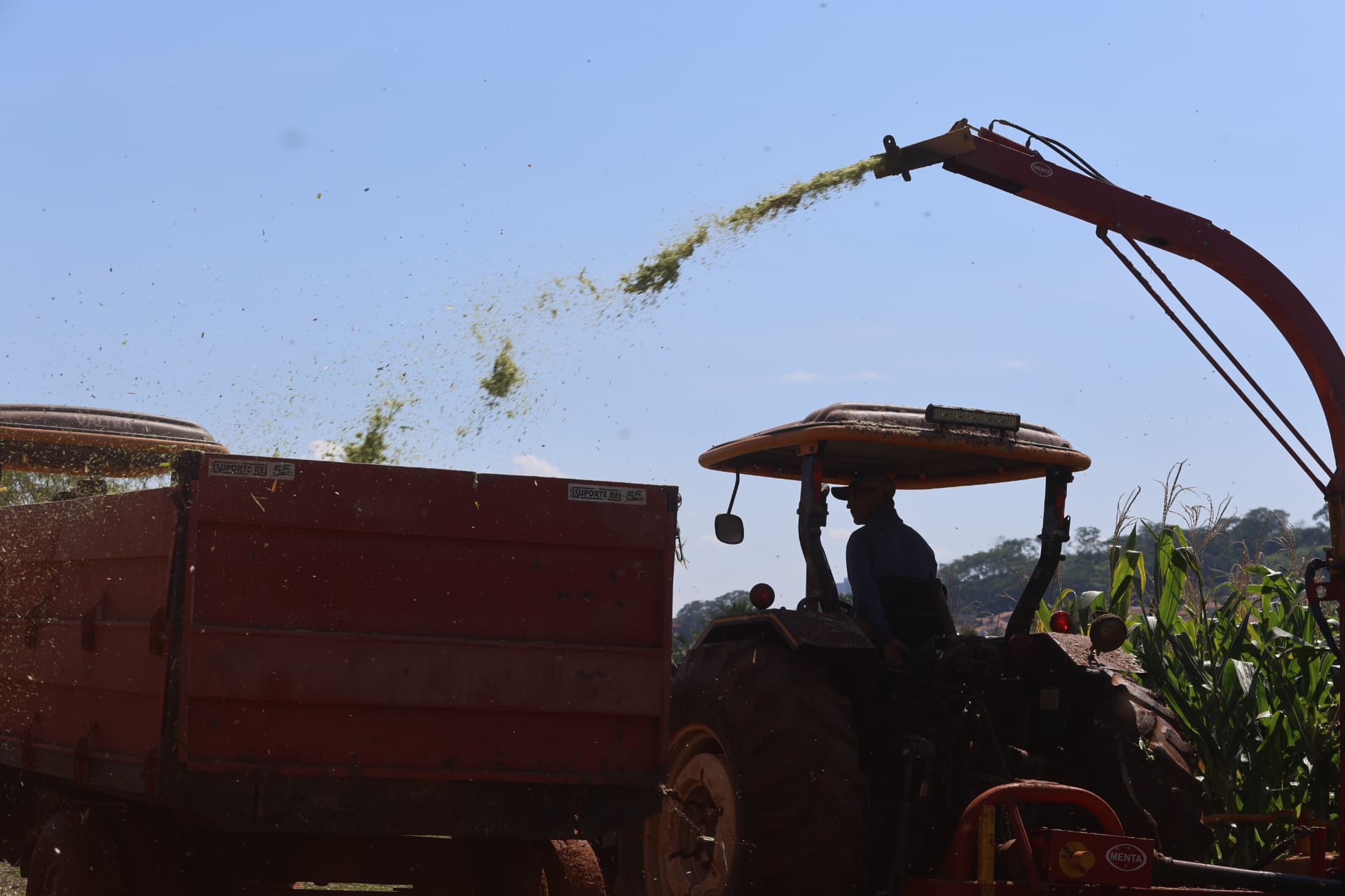 Colheita de silagem sendo descarregada em vagão no campo