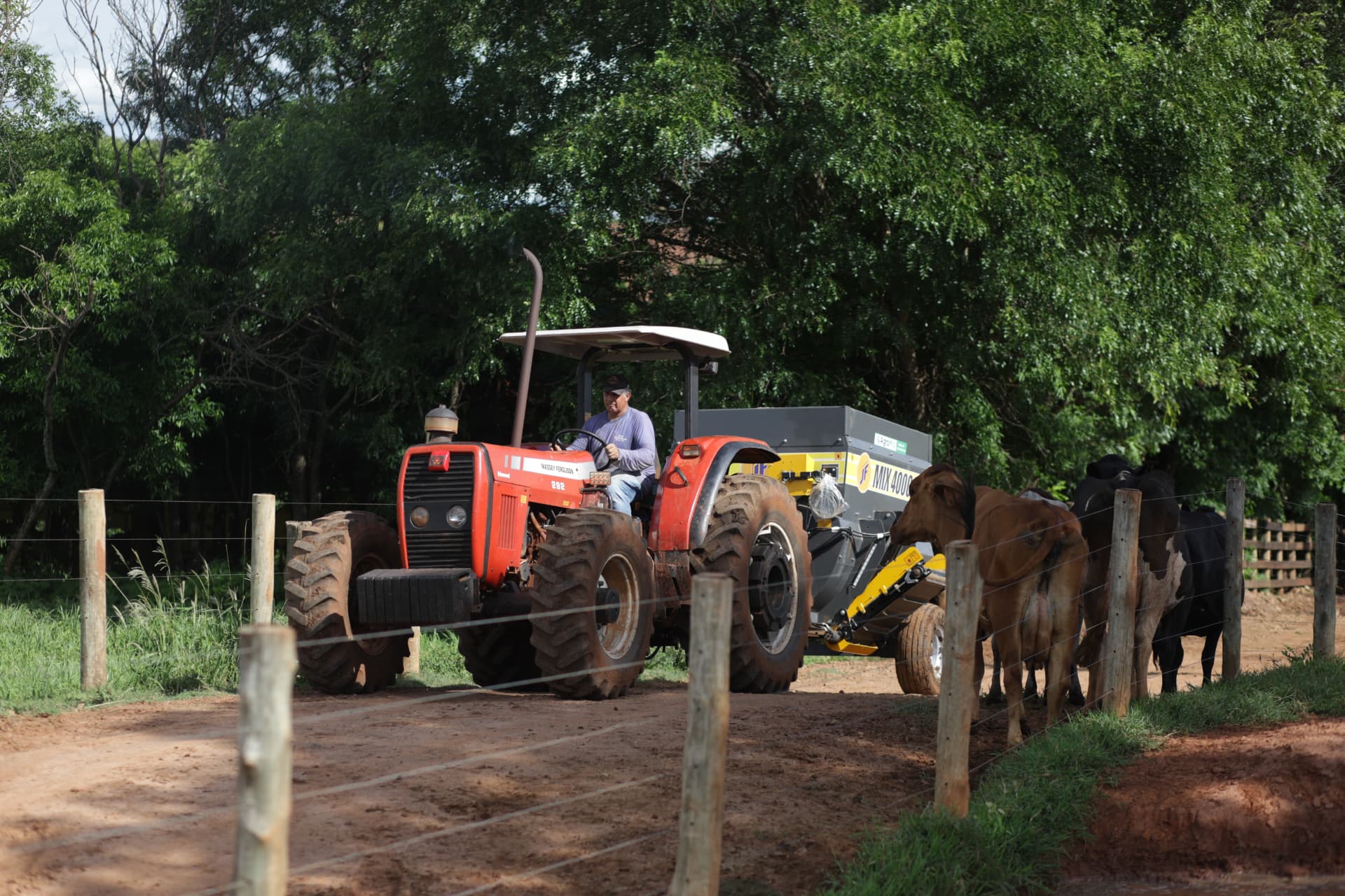 Trator com vagão misturador alimentando o gado